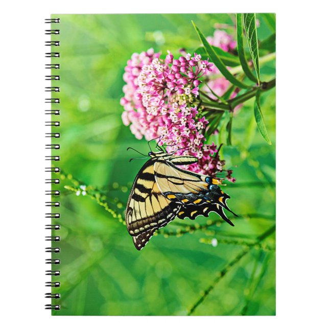Caderno Espiral Borboleta oriental de Swallowtail do tigre (Frente)