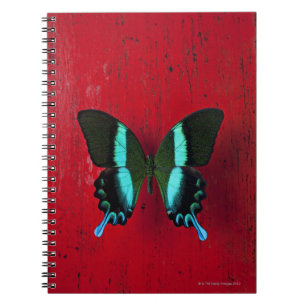 Caderno Espiral Borboleta preta & azul