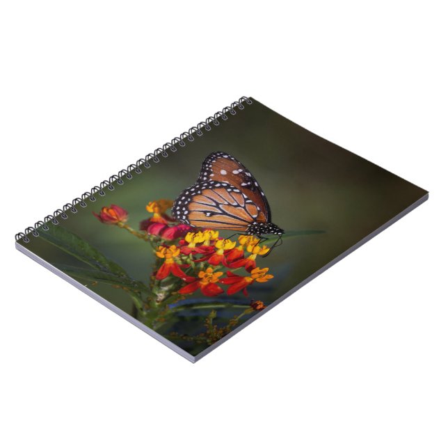 Caderno Espiral Borboleta-rainha sobre algas tropicais (Left Side)