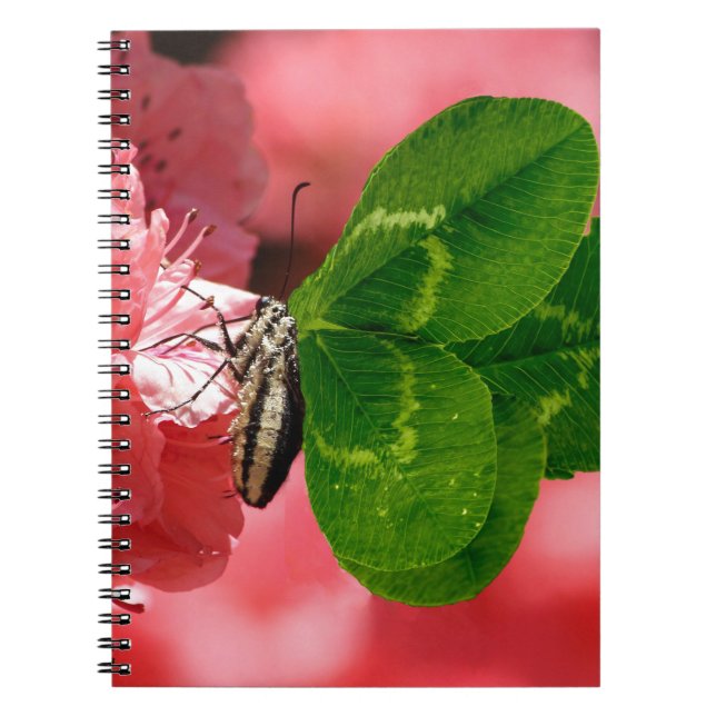 Caderno Espiral Borboleta Sortuda (Frente)