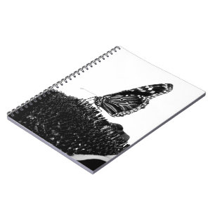 Caderno Espiral borboleta tímida preta