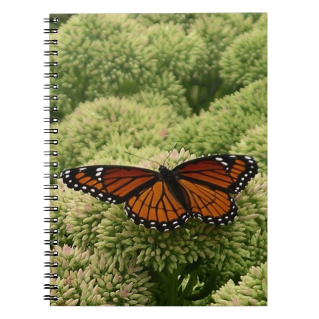 Caderno Espiral Borboleta Viceroy Belo Caráter Fotografia (Frente)