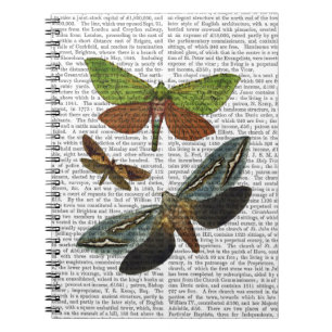 Caderno Espiral Borboletas 4