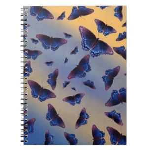 Caderno Espiral Borboletas Azuis Nascer do Sol