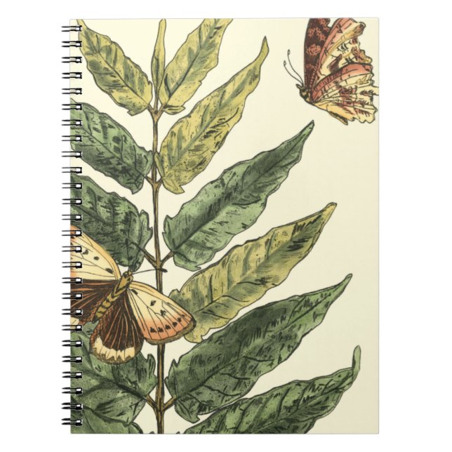 Caderno Espiral Borboletas e folhas com quadro preto (Frente)