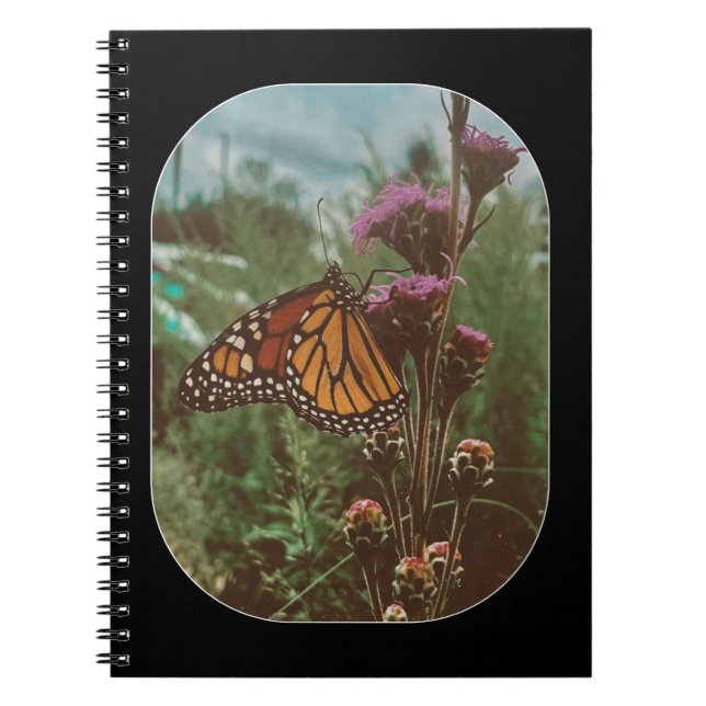 Caderno Espiral borboletas laranja  (Frente)