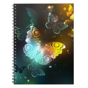 Caderno Espiral Borboletas luminosas e borboletas noturnas