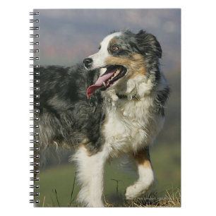 Caderno Espiral Border collie que arfa 2