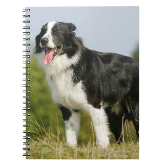 Caderno Espiral Border collie que arfa estar