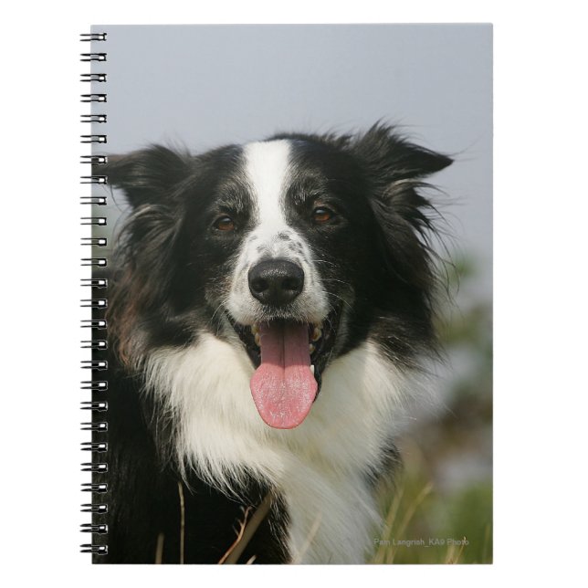 Caderno Espiral Border collie que arfa o Headshot 1 (Frente)