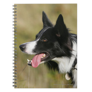 Caderno Espiral Border collie que arfa o Headshot 2