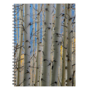Caderno Espiral Bosques de Álamo Montanhas Rochosas do Colorado