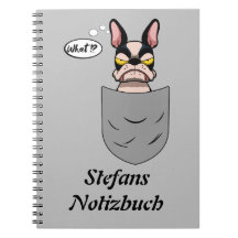 Boston Terrier in Brusttasche, lustig