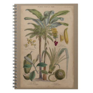 Caderno Espiral Botânica Antica Fruta Tropical Palm