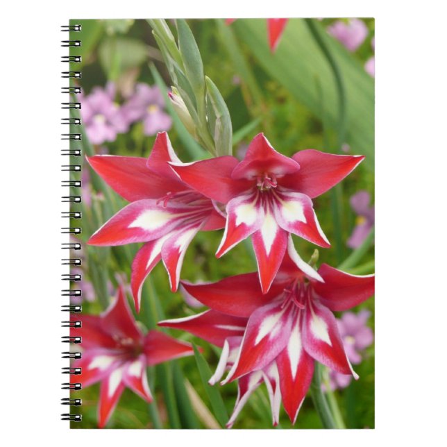 Caderno Espiral Botânica de Verão, Gladiolas Vermelhas e Brancas (Frente)