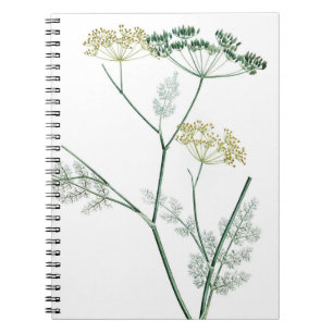 Caderno Espiral Botânico Verde Suave IV