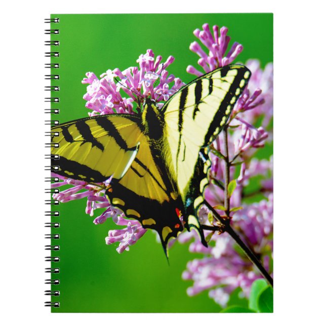 CADERNO ESPIRAL BOTÃO AMARELO EM FLORES DE TINTA (Frente)