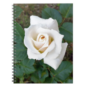 Caderno Espiral botão branco
