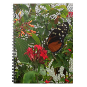 CADERNO ESPIRAL BOTÃO LARANJA