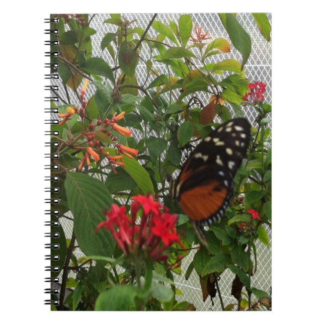 CADERNO ESPIRAL BOTÃO LARANJA (Frente)