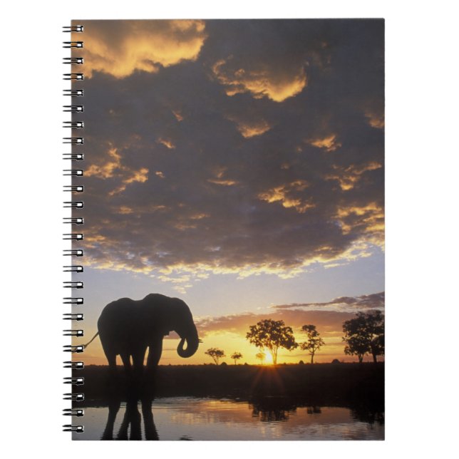 Caderno Espiral Botsuana, Parque Nacional de Chobe, Elefante (Frente)