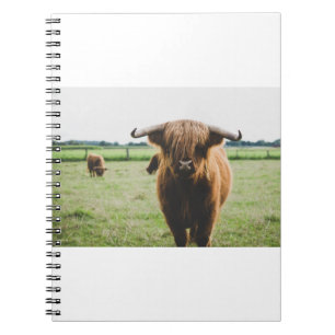 CADERNO ESPIRAL BOVINOS DE TERRA ALTA NO CAMPO DURANTE O DIA