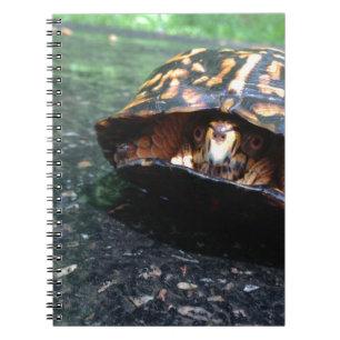 Caderno Espiral Box Turtle