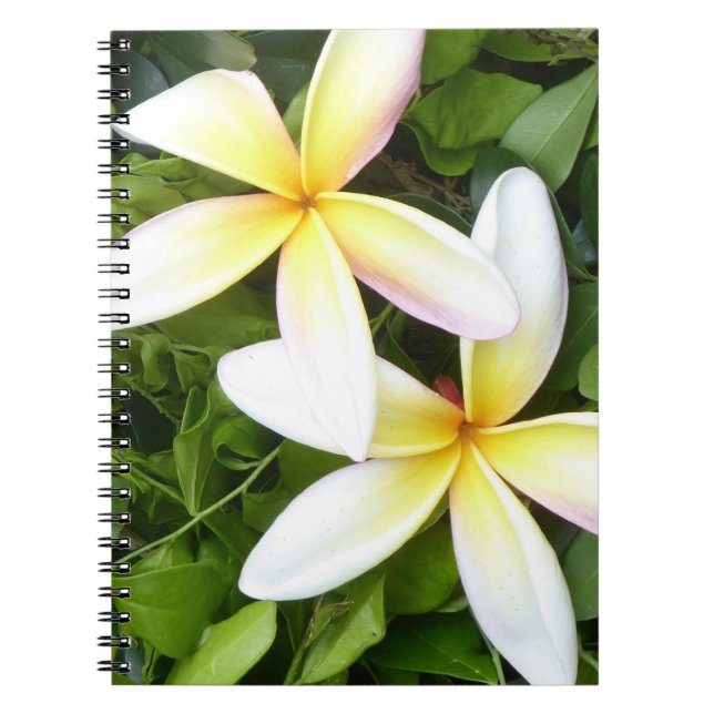 Caderno Espiral Bright Hawaiian Flowers Fotografia Spiral Notebook (Frente)