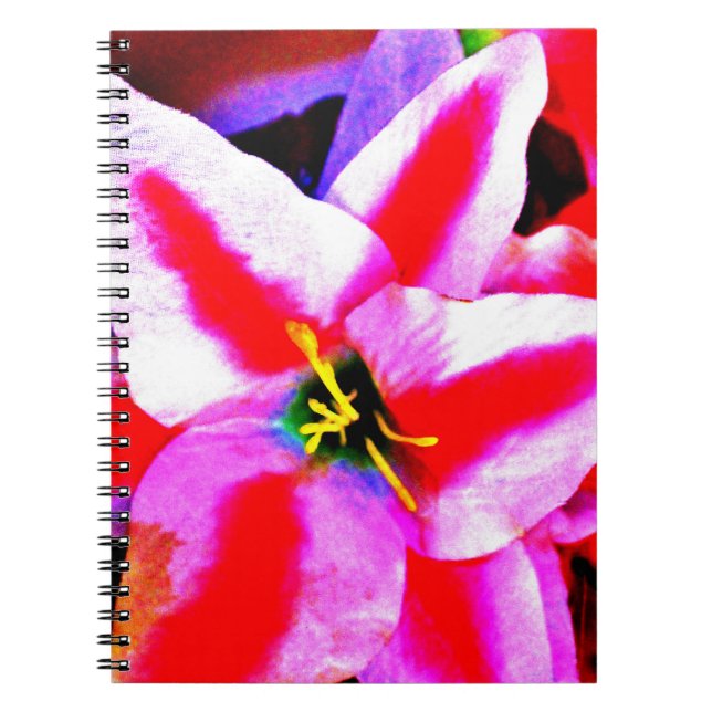 Caderno Espiral Bright Lily (Frente)