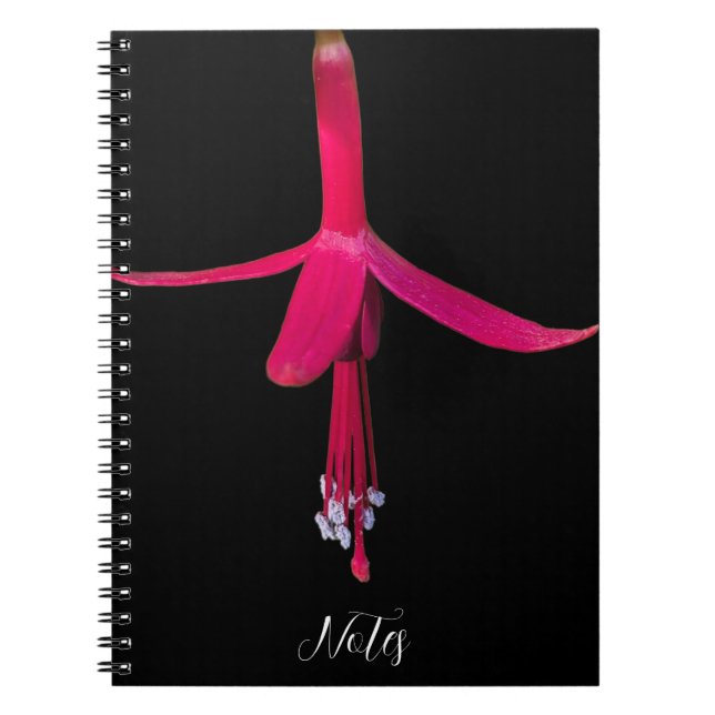 Caderno Espiral Bright Pink Fuchsia Flower on Black (Frente)