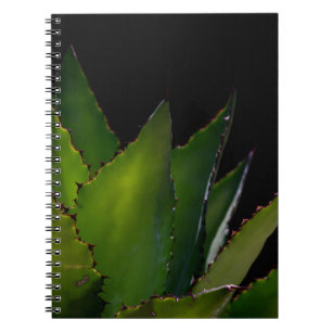 Caderno Espiral Brilho de Agave