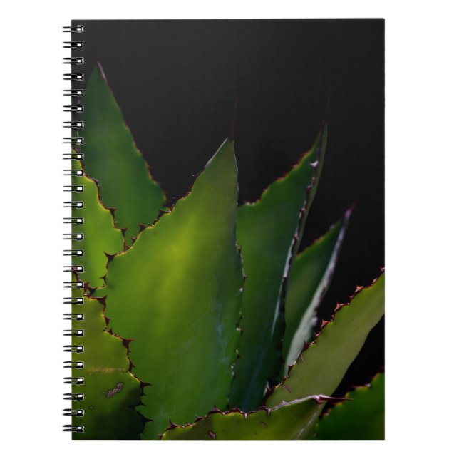 Caderno Espiral Brilho de Agave (Frente)