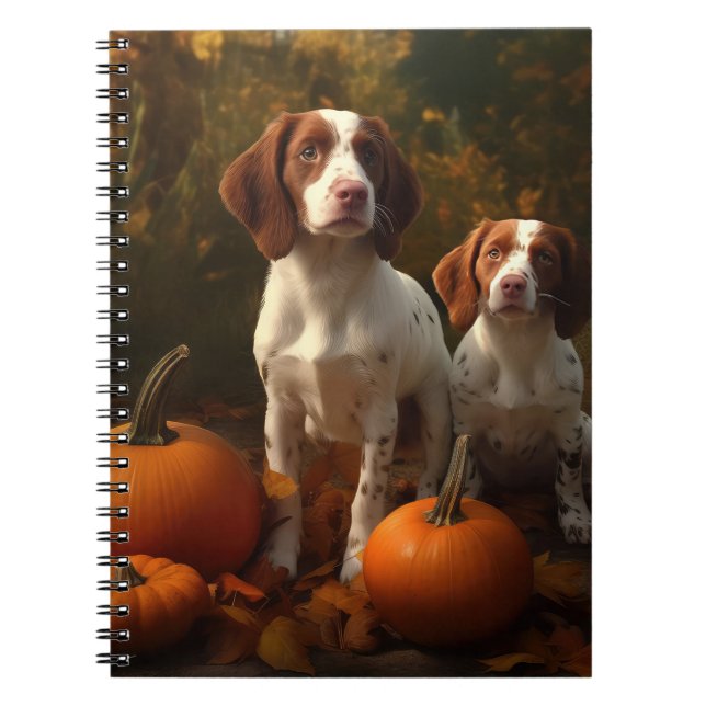 Caderno Espiral Brittany Spaniel Puppy Autumn Delight Pumpkin (Frente)