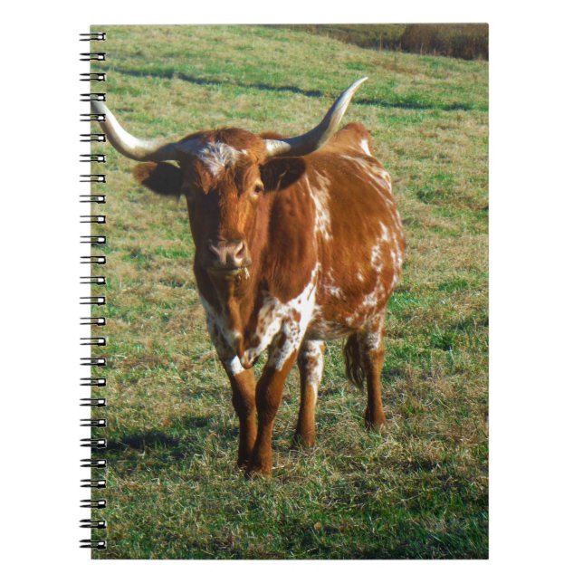 Caderno Espiral Brown and White Longhorn Bull (Frente)