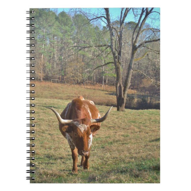 Caderno Espiral Brown e céu azul branco de Longhorn Bull (Frente)