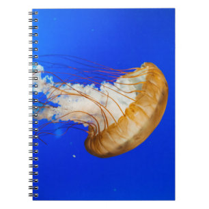 CADERNO ESPIRAL BROWN JELLYFISH