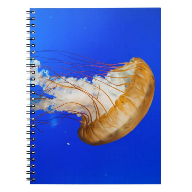 CADERNO ESPIRAL BROWN JELLYFISH (Frente)