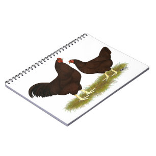 Caderno Espiral Buckeye Chickens