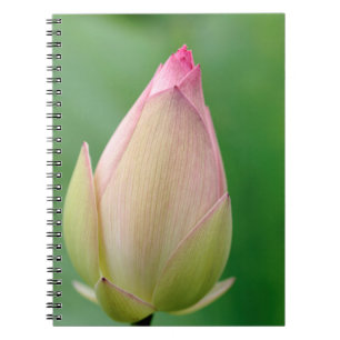 Caderno Espiral Bulbo de Lírio de Água Fechado, Jardim Botânico de
