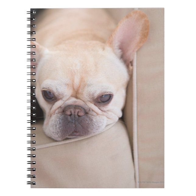 Caderno Espiral Buldogue francês descansando no sofá (Frente)