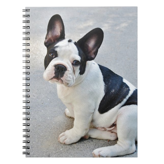 Caderno Espiral buldogue francês sentado (Frente)