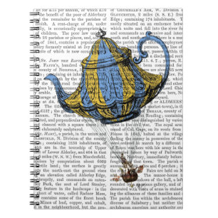 Caderno Espiral Bule voador 3 azul e amarelo