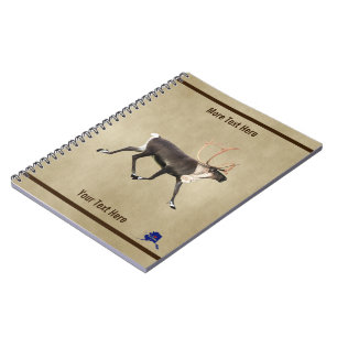 Caderno Espiral Bull desde o nascimento até ao pergaminho