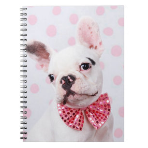Caderno Espiral Bulldog Francês com Arco