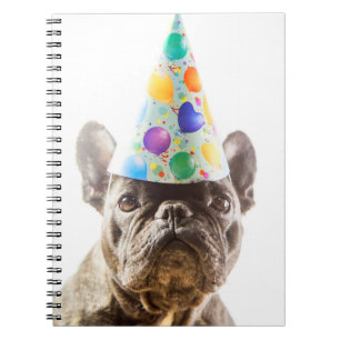 Caderno Espiral Bulldog Francês com Chapéu da Festa