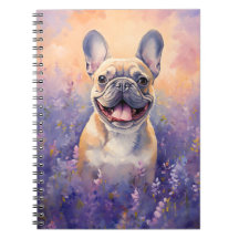 Bulldog Francês em campo de Lavanda