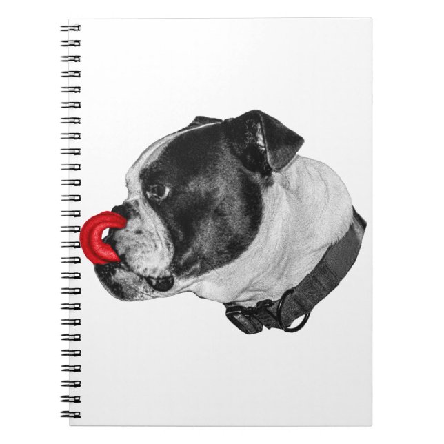 Caderno Espiral Bulldog Red Accent Notes (Frente)