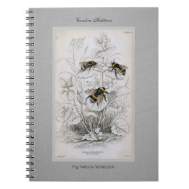 Caderno Espiral Bumble Bee Botanical on Linen