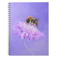 Bumble Bee pregada em uma flor rosa