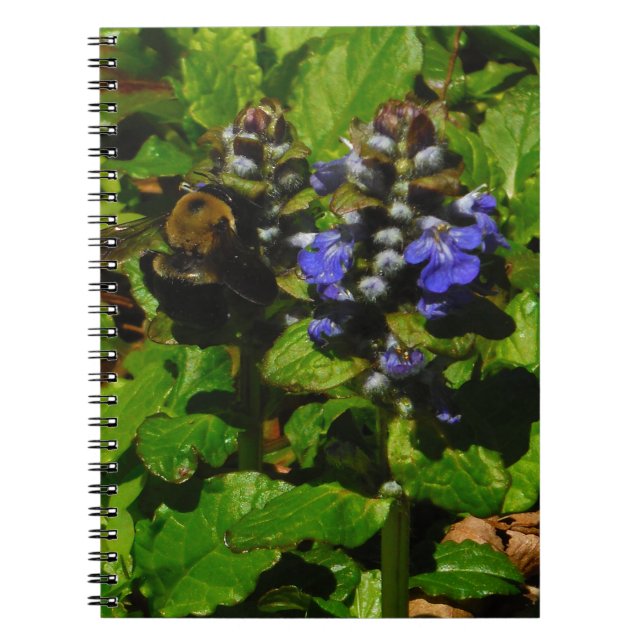 Caderno Espiral Bumble e Bumble Bee (Frente)